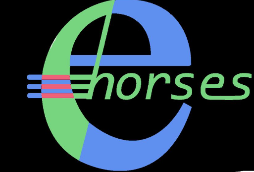 Ehorses Bags